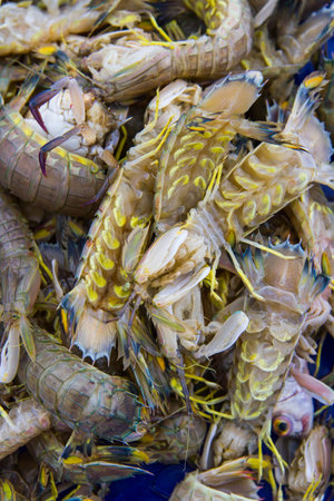 The fishing is the livelihood of the locals.の写真素材