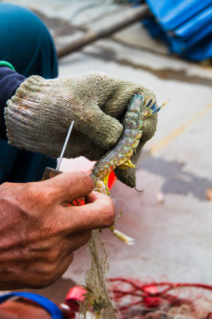 The fishing is the livelihood of the locals.の写真素材