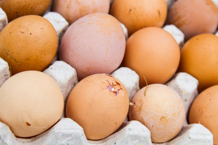 The eggs are healthy and good for health.の写真素材