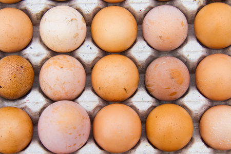 Eggs are health benefits And high protein