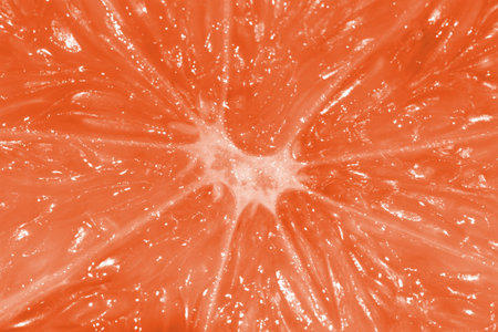Grapefruitの写真素材
