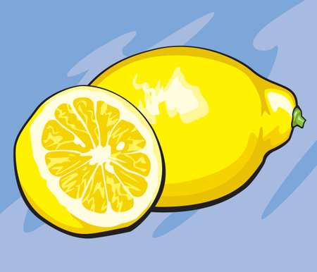 Lemon Sliceのイラスト素材
