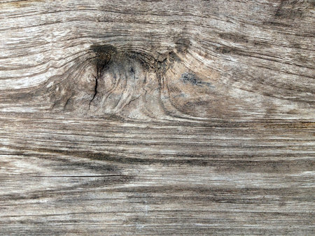 Wood Textureの写真素材