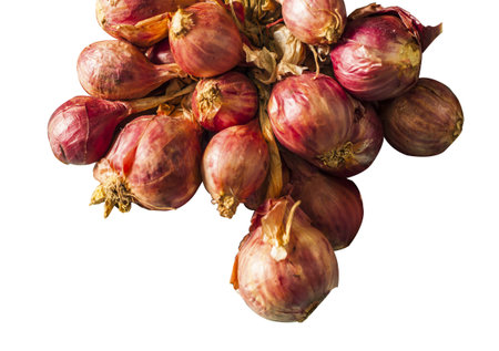 Close-up of red onion