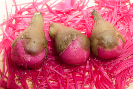 Close up Pink Rose apple flowers on pollenの写真素材