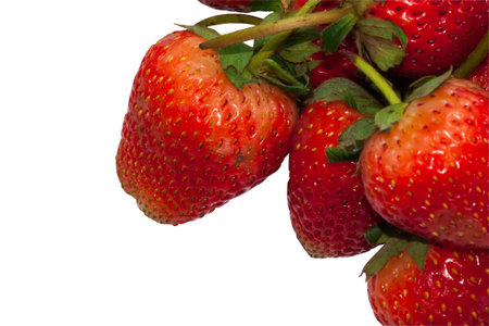 Fresh  Red Strawberry on white backgroundの写真素材