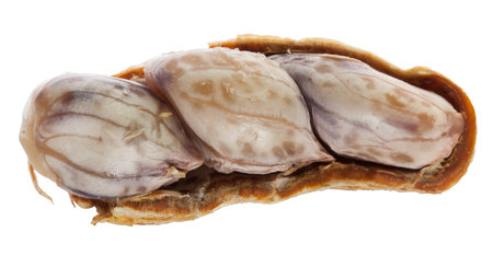 Closeup of half brown boil peanut on white backgroundの写真素材