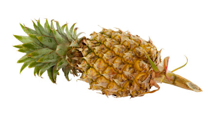 Closeup of yellow Ripe Pineapple on white backgroupの写真素材