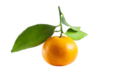 Fresh thai orange fruit with green leaf on white backgroundの写真素材