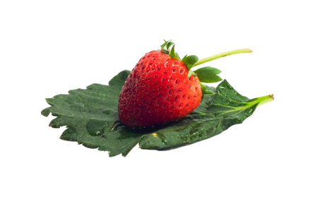 Single Red Strawberry on strawberry leafの写真素材