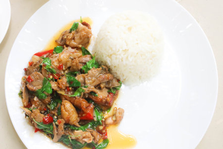 Stir Fried Duck with Roasted Chili on white dishの写真素材