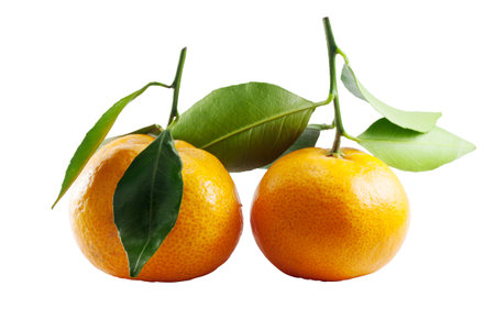 Fresh thai two orange fruit with green leaf on white backgroundの写真素材