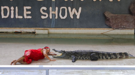 Editorial-5th Show big crocodile on the floor in the zoo ,Thailandのeditorial素材
