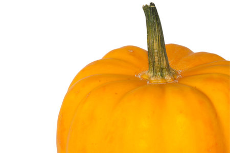 Single Orange pumpkin on white backgroundの写真素材