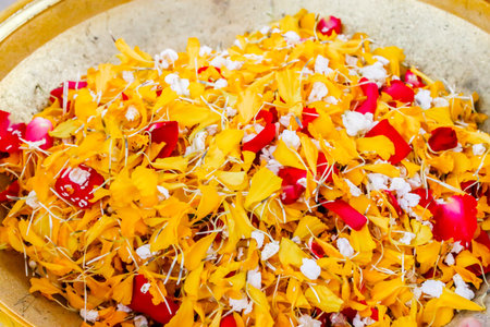 Closeup of colorful petal for Scattering Ashes Over Water,water burial funeral ceremony