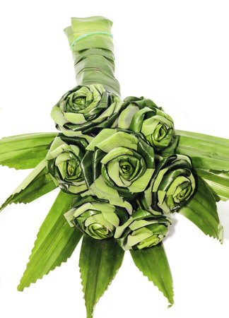 Fresh green Pandanus Palm, Fragrant Pandan, Pandom wangi leaves make to flower on white backgroundの写真素材