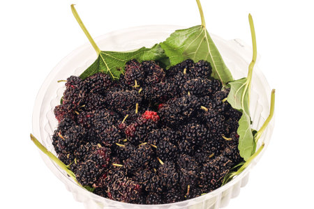 Closeup of group Mulberry berry with leaf in white cup isolated on white backgroundの写真素材