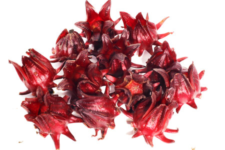 Closeup of group Roselle fruits isolated on white backgroundの写真素材