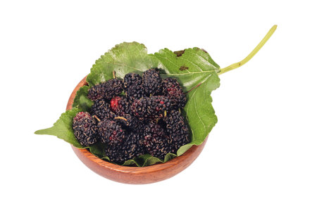Closeup of group Mulberry berry with leaf isolated on wooden cup white backgroundの写真素材