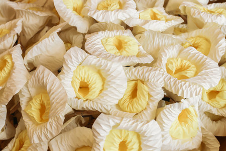 Close up white and yellow Sandalwood flowers or artificial flowers backgroundの写真素材
