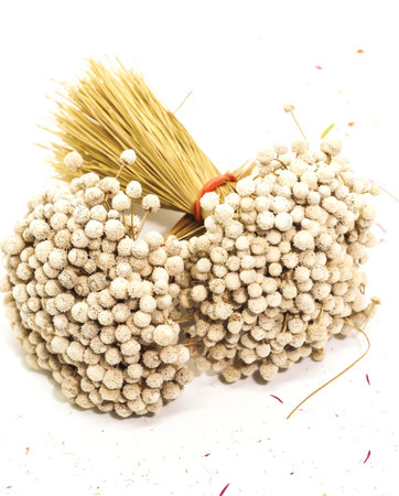 Closeup of A Bunch of dry white Eriocaulon henryanum Ruhle on white backgroundの写真素材