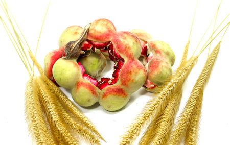 Close up of Manila tamarind with dry grass isolated white backgroundの写真素材