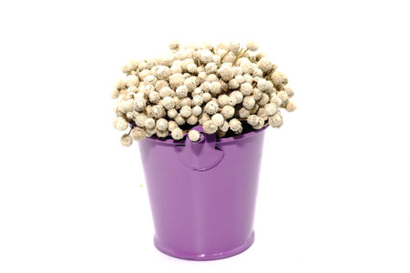 A Bunch of dried white Eriocaulon henryanum Ruhle on purple bucket of waterの写真素材