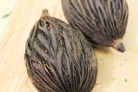 Close up of Single black dry Foxtail palm on brown woodenの写真素材