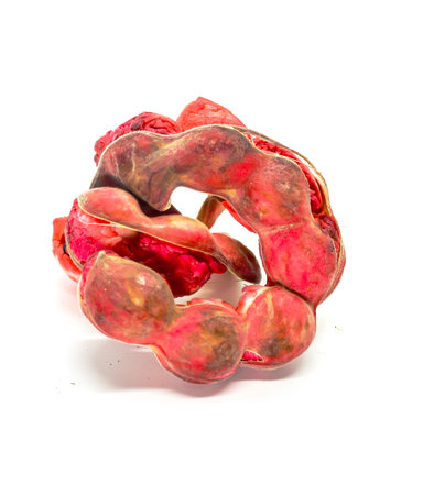 Macro of single red Manila tamarind isolated white backgroundの写真素材