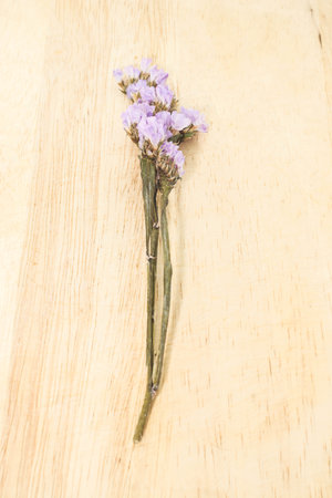 Single purple statice flower background use for decoration on brown woodenの写真素材