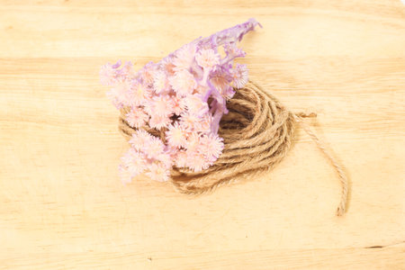Single of Dry Tabebuia rosea light purple on white backgroundon small brown rope sackの写真素材