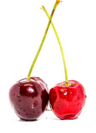 Closeup of two red Fresh cherry on white backgroundの写真素材