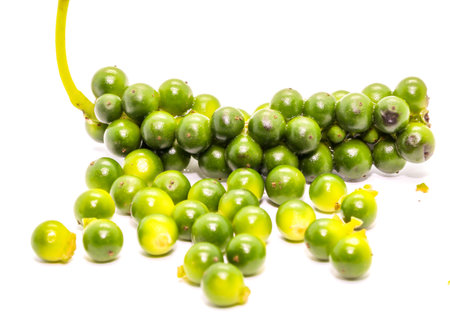 Closeup of fresh green peppercorns on a white backgroundの写真素材