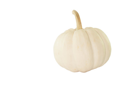 Single Little of white pumpkin on white backgroundの写真素材