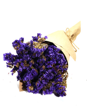 Closeup of brown bouquet violet statice dry flower on white backgroundの写真素材
