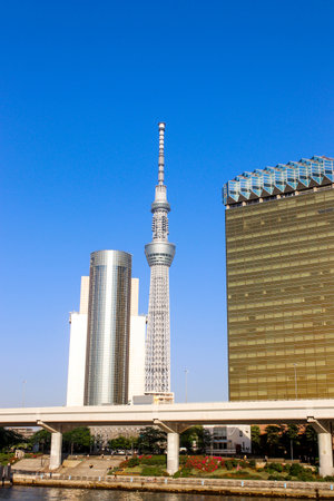 Sumida river viewpoint to see sky tree tower landmark in tokyo,Japanのeditorial素材
