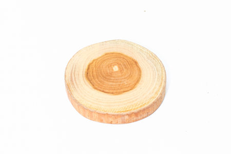 Closeup of single round teak wood on white backgroundの写真素材