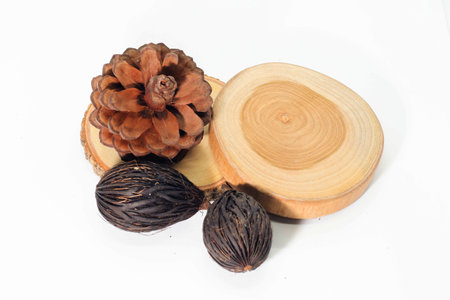 Closeup of round teak wood , Pine cone and dry seed of fox tail palmの写真素材