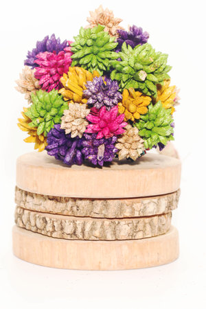 Closeup of dry colorful Spiky Ball Flower on round teak wood on white backgroundの写真素材