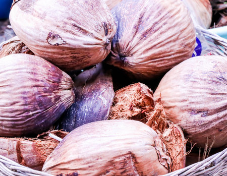 Closeup of Brown Dried coconut in the bucketの写真素材