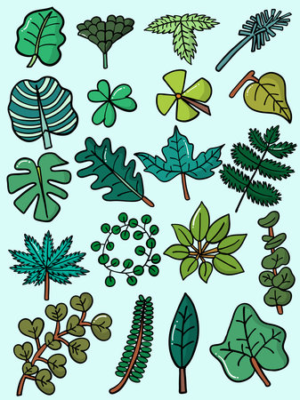 Vector of arrangement set several leaves illustrationのイラスト素材