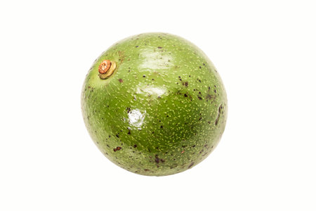 Single of green thai avocado on white background