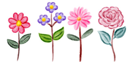 Hand draw of four flower on white backgroundの写真素材
