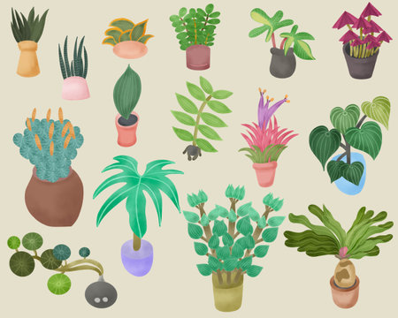 Set of Tree with Pots and leaves illustrationの写真素材