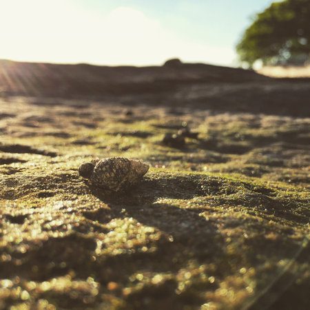 summer at beach の写真素材