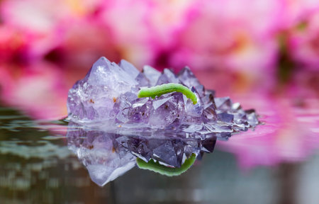 Green Caterpillar on a purple Amethyst looking at its reflection in water .