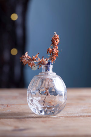 Dried Heather (Erica Carnea) in a small glass bottle with a blue background,Coral like beautiful Autumnal colour.の写真素材