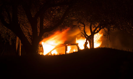 A  abandoned car on fire in a public park.