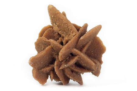 Desert rose (sand rose) mineral from Mexico isolated on a pure white backgroundの写真素材