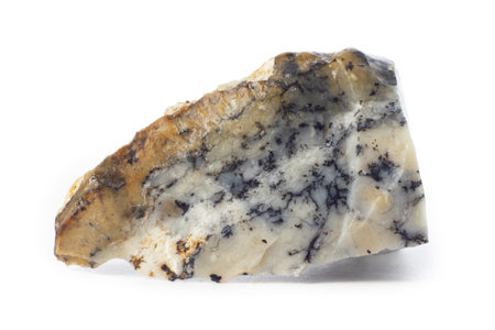 White and black rough opal mineral from Brazil isolated on a pure white backgroundの写真素材